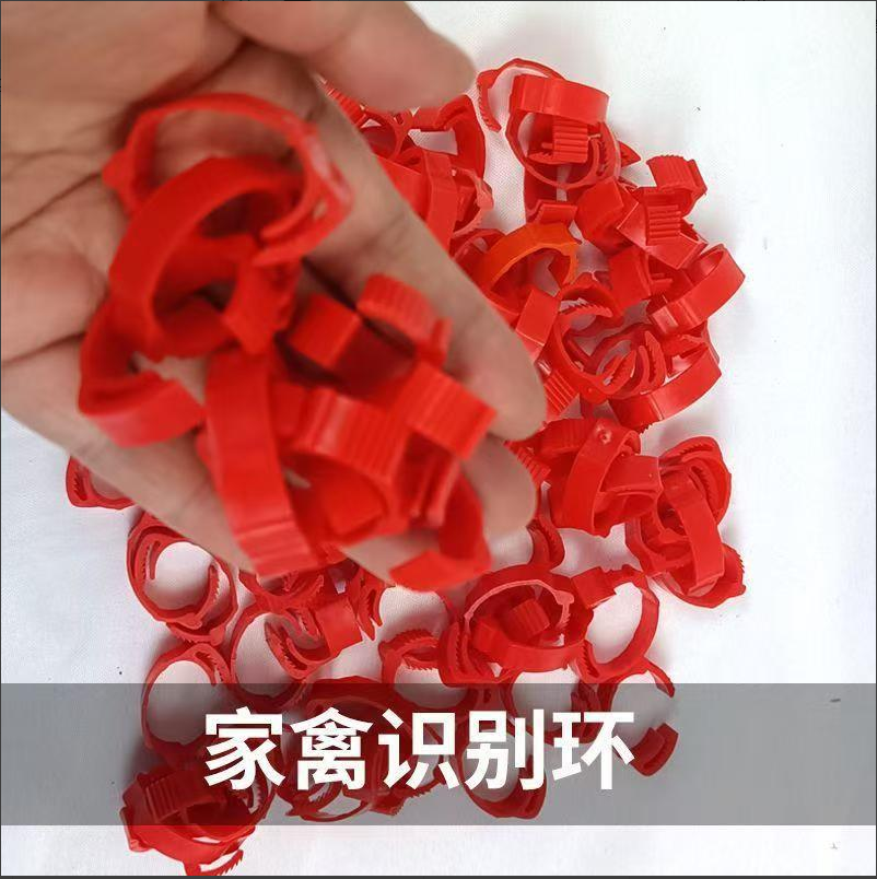 标记环（1包50）